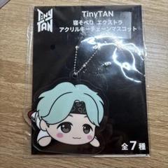 2025年最新】tinytanキーホルダーの人気アイテム - メルカリ