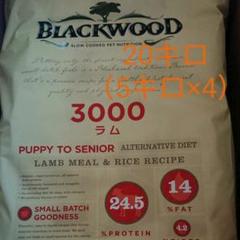 ブラックウッド3000