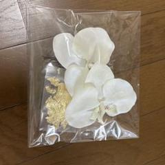 結婚式　ブライダルヘアアクセサリー　和装髪飾り 前撮り　成人式　胡蝶蘭2輪　金箔
