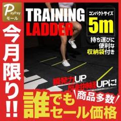 トレーニングラダー 5m
