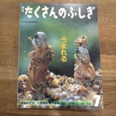 たくさんのふしぎ 1991年 12冊〔1月-12月〕