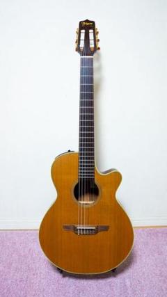 TAKAMINE NPT110Nの中古/未使用品 - メルカリ