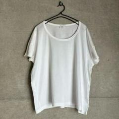SUNSPEL サンスペル コットンTシャツのサムネイル