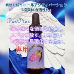 専用】#221 パイニールアクティベーションアンジェリック