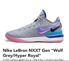 NIKE ナイキLEBRON NXXT GEN EP 27.5cmのサムネイル