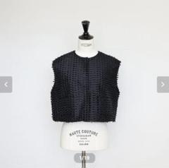【週末限定最終価格】ジプソフィア gypsohila Crystal Gilet 2025年最新】ジプソフィア gypsohila ベストの人気アイテム
