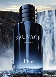Dior ソヴァージュのサムネイル