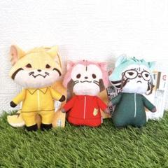 あらいぐま カルカル団 マスコット ３種セット