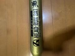 ミノルマンバットのサムネイル