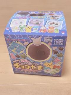 【るん様専用】ポケモン　チョコたま
