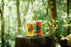 noras パイントグラス Lemon Glass レモン柄 未使用 新品 NORAs レモン 柄 パイントグラス Lemon Glass ノラズの通販