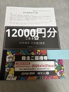 VILLAGE VANGUARDご優待券 ¥1,000 12枚　ヴィレヴァン ヴィレッジヴァンガード株主優待券 12,000円分 - メルカリ