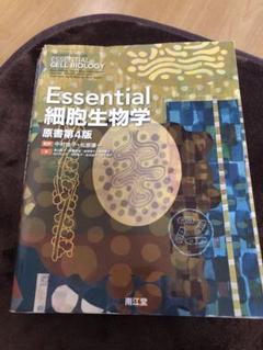 2025年最新】essential細胞生物学の人気アイテム - メルカリ