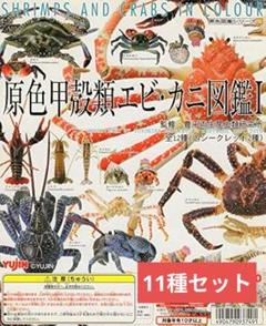 ユージン　原色甲殻類エビ・カニ図鑑　SP含む11種　セミコンプセット ユージン 原色甲殻類エビ・カニ図鑑 SP含む11種 セミコンプ