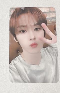 StrayKids リノ 福岡 名古屋 大阪 東京 会場限定トレカ 全コンプ StrayKids リノ 福岡 名古屋 大阪 東京 会場限定トレカ 全コンプ