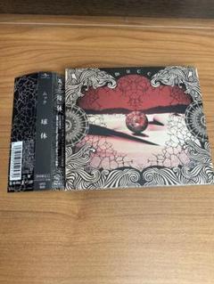 MUCC 球体のBOX MUCC 球体のBOX Amazon.co.jp: 球体: ミュージック