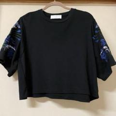 mame kurogouchi 21SS刺繍襟付き半袖Tシャツ　サイズ1 Mame Kurogouchi マメクロゴウチ Floral Jacquard Open Collared