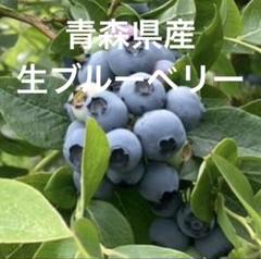令和７年度生ブルーベリー★加工用5ｋｇ（送料込） 2025年最新】ブルーベリーの人気アイテム - メルカリ