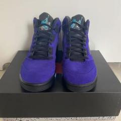 Air Jordan5 retro / grape ice