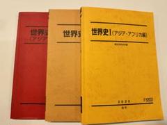 駿台 世界史I(アジア・アフリカ編)/II(欧米編) テキスト通年セット 2024 計2冊 027S0D 駿台 世界史I(アジア・アフリカ編)/II(欧米編) テキスト通年