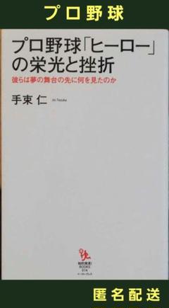 プロ野球「ヒーロー」の栄光と挫折 : 彼らは夢の舞台の先に何を見たのかのサムネイル