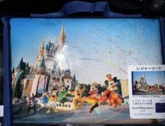 送料込 ディズニーランド 40周年 まとめ売り クッション レジャーシート 等 2025年最新】ディズニー レジャーシート 40周年の人気アイテム