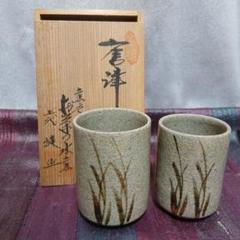 絵唐津 陶器 湯飲み 2個セット 夫婦 お茶の水窯 - メルカリ