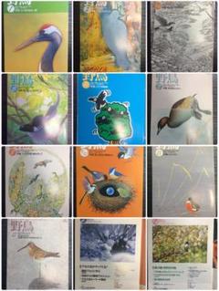 野鳥 1999年1〜12月号 全10冊 B5版 日本野鳥の会(24)