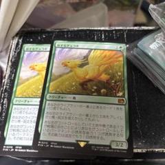 MTG 旅するチョコボ 3枚セット 英)旅するチョコボ / Traveling Chocobo ☆ボーダーレス☆ 【FIN