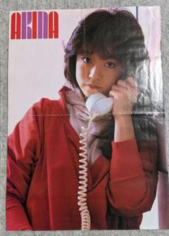 中森明菜 明星付録