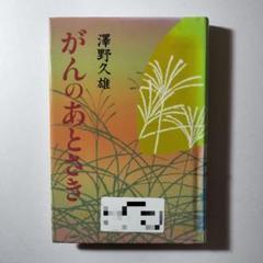 夜の河　澤野久雄　初版本　希少本　古書　角川文庫1922 夜の河澤野久雄初版本希少本古書角川文庫1922