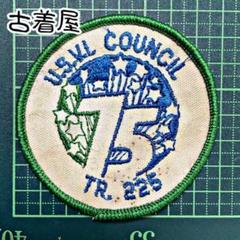 W18 【U.S.V.I COUNCIL】vintage Wappen