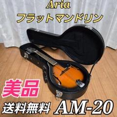 希少】 junji fujioka フラット マンドリン ケース付