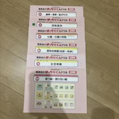 ばっちりくんドリル (裁断済み) セット売り 108冊 単元別ばっちりくんドリル 全巻セット｜小学校受験 合格対策問題