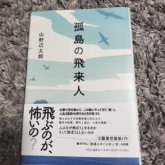 孤島の飛来人
