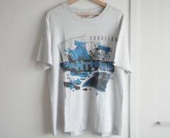 90s usa製 hanes CAROLINA PANTHERSのサムネイル