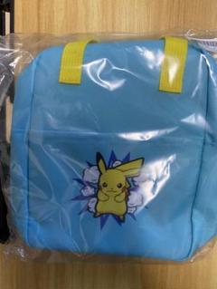 ポケットモンスタープラチナムザッカカラフルショルダーバッグピカチュウとピチュー付