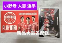新品★匿名配送 Suntory Sunbirds 大野太志 トレーディングカード