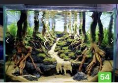 TTD 3033 水槽。流木。水槽。水生植物。 Amazon.co.jp: TTD 33 サンプル製品セット。水槽 。流木