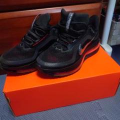 NIKE ペガサスプレミアム
