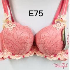 トリンプ プレミアム レッドレーベル0066 単品E75
