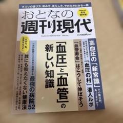 おとなの週刊現代 完全保存版のサムネイル