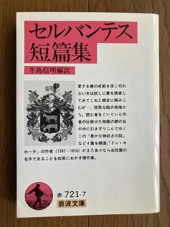 セルバンテス 短篇集 牛島信明訳 岩波文庫