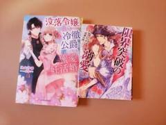 TL小説2冊セット ソーニャ文庫 ガブリエラブックス - メルカリ