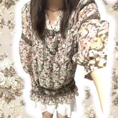フェアリーグランジ 森ガール 平成レトロ シフォンチュニック