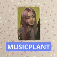 TWICE this is for MUSICPLANT