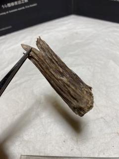 沈香原木22g 22.0g 香道聞香用六国五味沈香