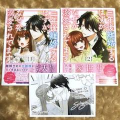 【完結セット】三年後離婚するはずが、なぜか溺愛されています　1・2巻　完結