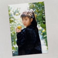 南野陽子　フジカラー　分割大伸しマルチ16 貴重レア❗ 南野陽子 フジカラー 分割大伸し マルチ16