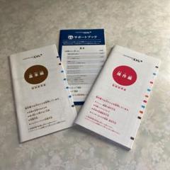 ニンテンドーDS 取扱説明書 3冊セット